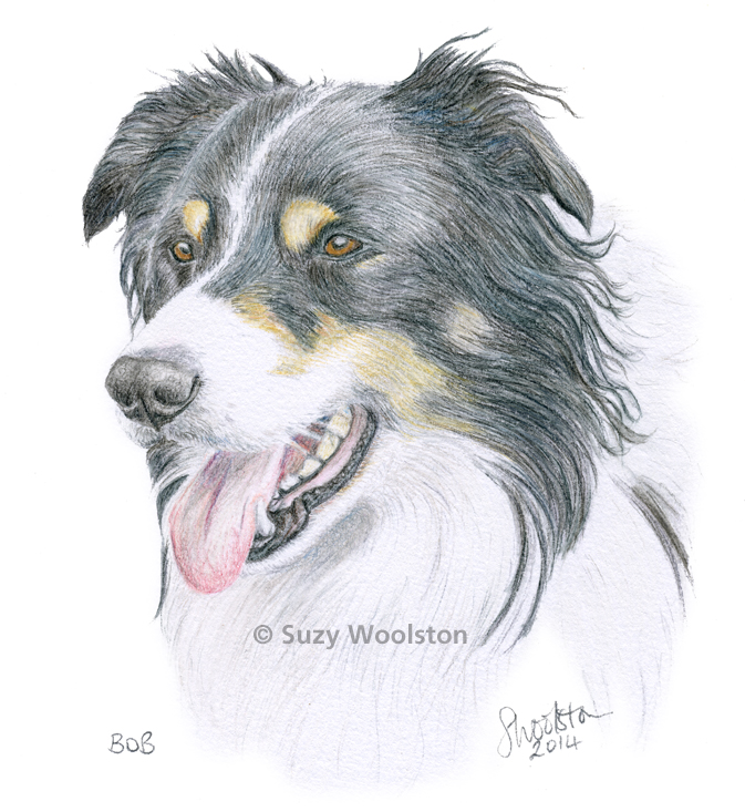 Coloured pencil portrait