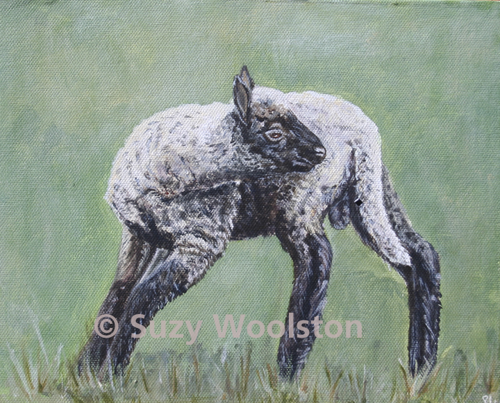 Lamb in Acrylic